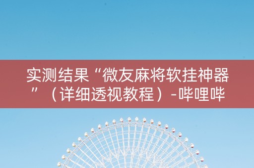 实测结果“微友麻将软挂神器”（详细透视教程）-哔哩哔哩