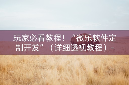 玩家必看教程！“微乐软件定制开发”（详细透视教程）-哔哩哔哩