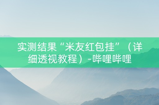 实测结果“米友红包挂”（详细透视教程）-哔哩哔哩
