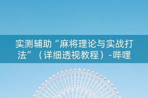 实测辅助“麻将理论与实战打法”（详细透视教程）-哔哩哔哩