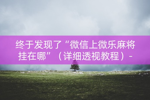 终于发现了“微信上微乐麻将挂在哪”（详细透视教程）-哔哩哔哩