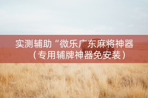 实测辅助“微乐广东麻将神器（专用辅牌神器免安装）