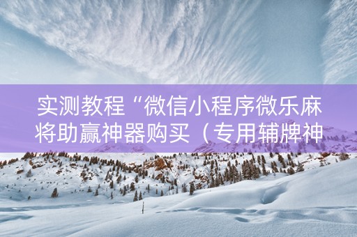 实测教程“微信小程序微乐麻将助赢神器购买（专用辅牌神器免安装）