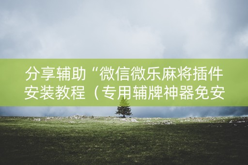 分享辅助“微信微乐麻将插件安装教程（专用辅牌神器免安装）
