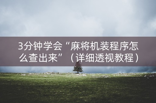 3分钟学会“麻将机装程序怎么查出来”（详细透视教程）-哔哩哔哩