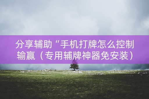 分享辅助“手机打牌怎么控制输赢（专用辅牌神器免安装）