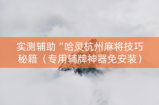 实测辅助“哈灵杭州麻将技巧秘籍（专用辅牌神器免安装）