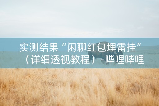 实测结果“闲聊红包埋雷挂”（详细透视教程）-哔哩哔哩