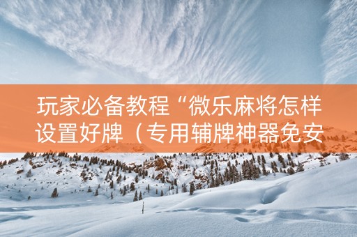 玩家必备教程“微乐麻将怎样设置好牌（专用辅牌神器免安装）