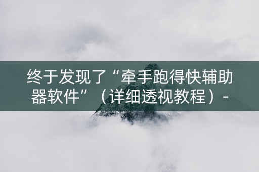 终于发现了“牵手跑得快辅助器软件”（详细透视教程）-哔哩哔哩