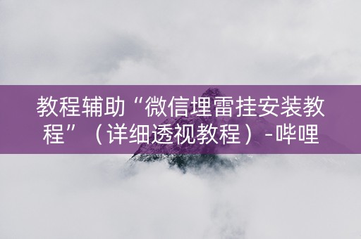 教程辅助“微信埋雷挂安装教程”（详细透视教程）-哔哩哔哩