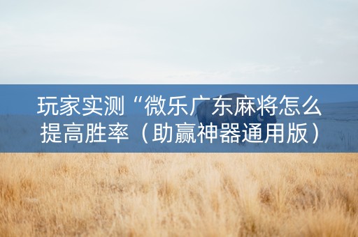 玩家实测“微乐广东麻将怎么提高胜率（助赢神器通用版）