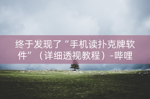 终于发现了“手机读扑克牌软件”（详细透视教程）-哔哩哔哩