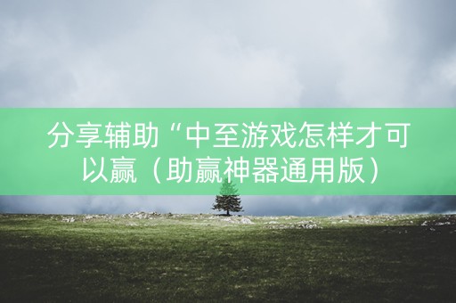 分享辅助“中至游戏怎样才可以赢（助赢神器通用版）