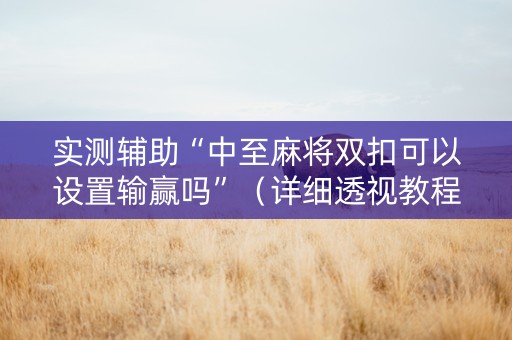 实测辅助“中至麻将双扣可以设置输赢吗”（详细透视教程）-哔哩哔哩