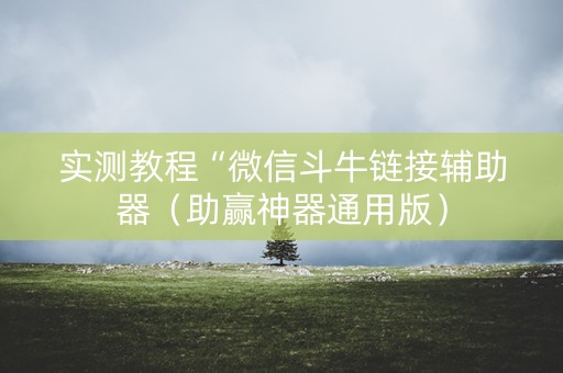实测教程“微信斗牛链接辅助器（助赢神器通用版）