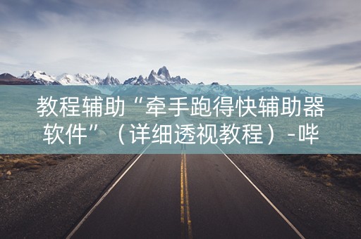 教程辅助“牵手跑得快辅助器软件”（详细透视教程）-哔哩哔哩