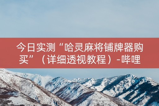 今日实测“哈灵麻将铺牌器购买”（详细透视教程）-哔哩哔哩
