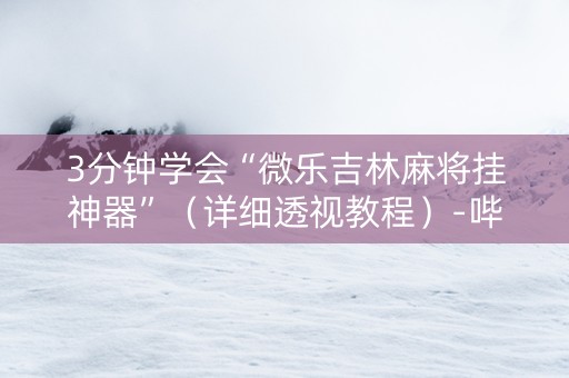 3分钟学会“微乐吉林麻将挂神器”（详细透视教程）-哔哩哔哩