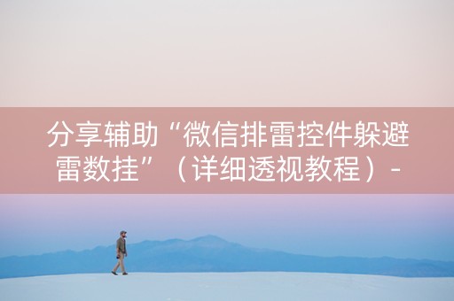 分享辅助“微信排雷控件躲避雷数挂”（详细透视教程）-哔哩哔哩