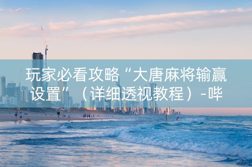 玩家必看攻略“大唐麻将输赢设置”（详细透视教程）-哔哩哔哩