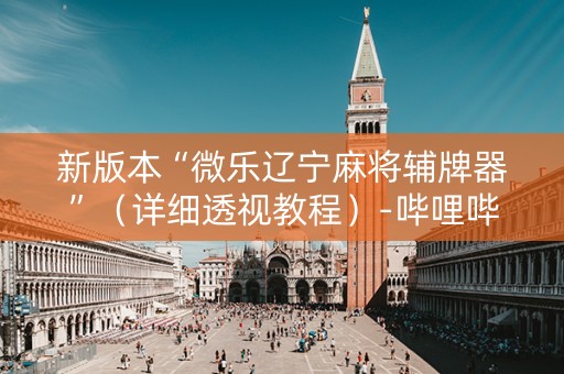 新版本“微乐辽宁麻将辅牌器”（详细透视教程）-哔哩哔哩