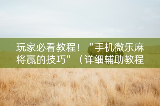 玩家必看教程！“手机微乐麻将赢的技巧”（详细辅助教程）-哔哩哔哩