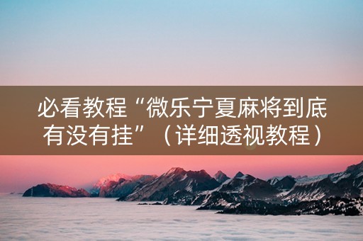 必看教程“微乐宁夏麻将到底有没有挂”（详细透视教程）-哔哩哔哩