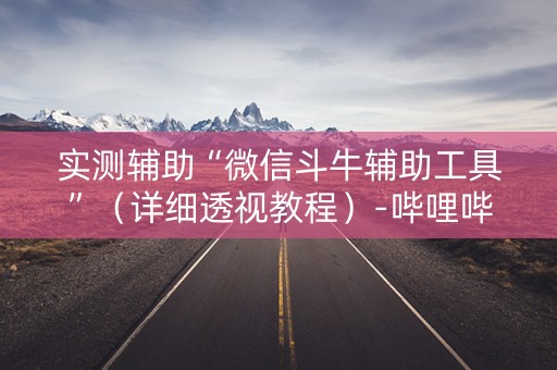 实测辅助“微信斗牛辅助工具”（详细透视教程）-哔哩哔哩