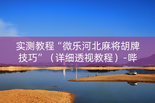 实测教程“微乐河北麻将胡牌技巧”（详细透视教程）-哔哩哔哩