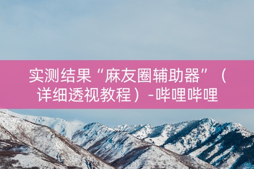 实测结果“麻友圈辅助器”（详细透视教程）-哔哩哔哩
