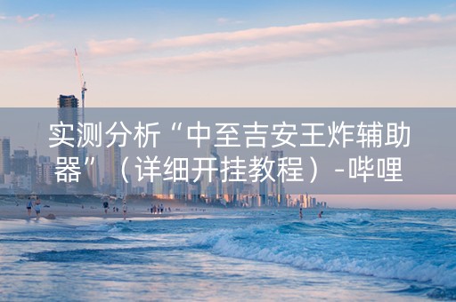 实测分析“中至吉安王炸辅助器”（详细开挂教程）-哔哩哔哩