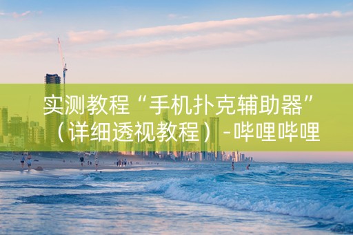 实测教程“手机扑克辅助器”（详细透视教程）-哔哩哔哩