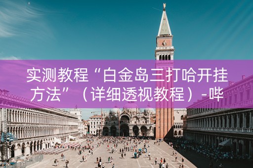 实测教程“白金岛三打哈开挂方法”（详细透视教程）-哔哩哔哩