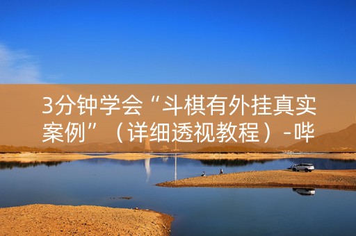 3分钟学会“斗棋有外挂真实案例”（详细透视教程）-哔哩哔哩