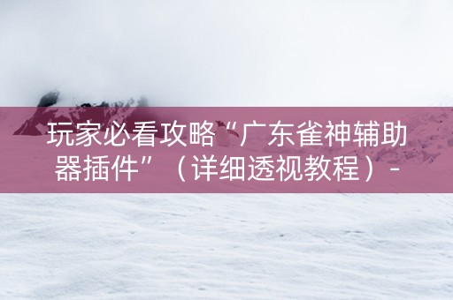 玩家必看攻略“广东雀神辅助器插件”（详细透视教程）-哔哩哔哩