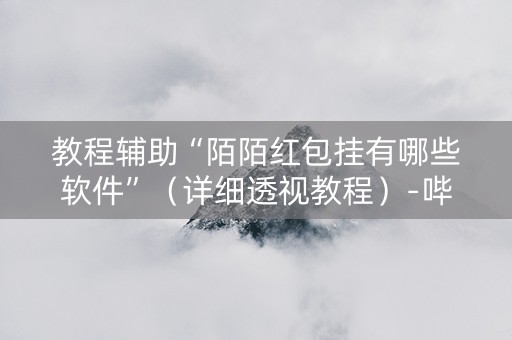 教程辅助“陌陌红包挂有哪些软件”（详细透视教程）-哔哩哔哩