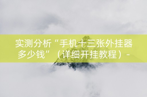 实测分析“手机十三张外挂器多少钱”（详细开挂教程）-哔哩哔哩