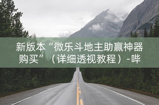 新版本“微乐斗地主助赢神器购买”（详细透视教程）-哔哩哔哩