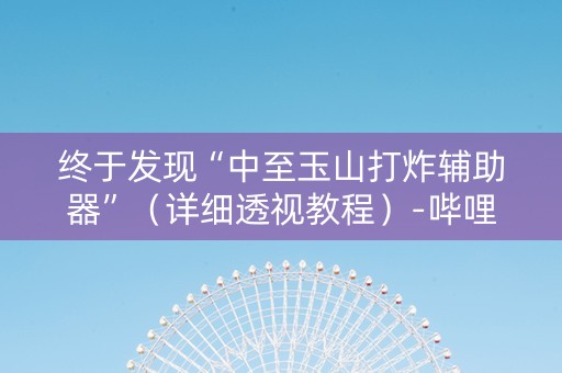 终于发现“中至玉山打炸辅助器”（详细透视教程）-哔哩哔哩