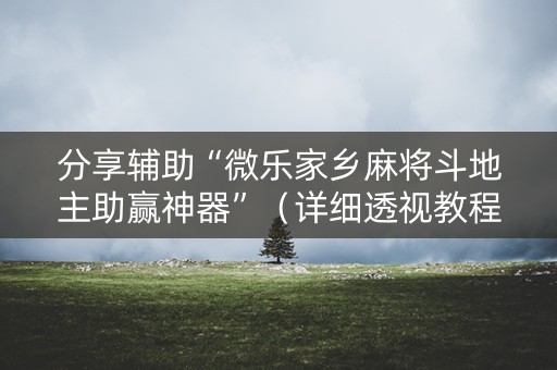 分享辅助“微乐家乡麻将斗地主助赢神器”（详细透视教程）-哔哩哔哩