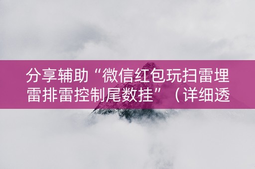 分享辅助“微信红包玩扫雷埋雷排雷控制尾数挂”（详细透视教程）-哔哩哔哩
