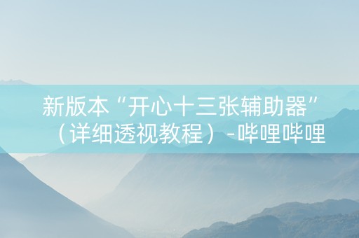 新版本“开心十三张辅助器”（详细透视教程）-哔哩哔哩