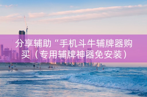 分享辅助“手机斗牛辅牌器购买（专用辅牌神器免安装）