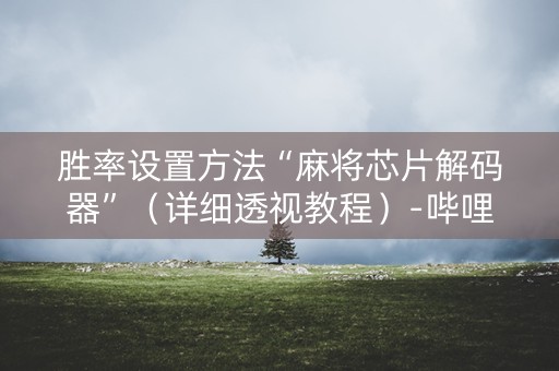 胜率设置方法“麻将芯片解码器”（详细透视教程）-哔哩哔哩