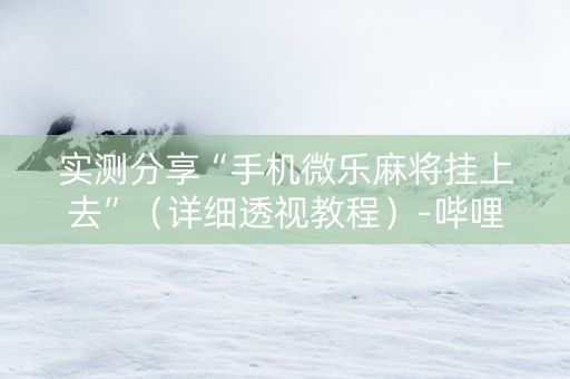 实测分享“手机微乐麻将挂上去”（详细透视教程）-哔哩哔哩