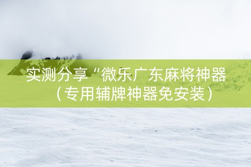 实测分享“微乐广东麻将神器（专用辅牌神器免安装）
