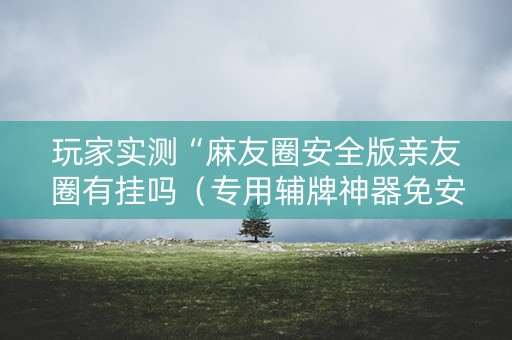 玩家实测“麻友圈安全版亲友圈有挂吗（专用辅牌神器免安装）