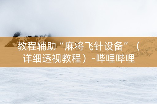 教程辅助“麻将飞针设备”（详细透视教程）-哔哩哔哩