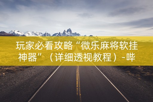 玩家必看攻略“微乐麻将软挂神器”（详细透视教程）-哔哩哔哩
